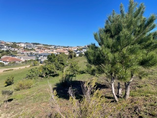 Commercial Property for Sale in Robberg Bay Estate Western Cape